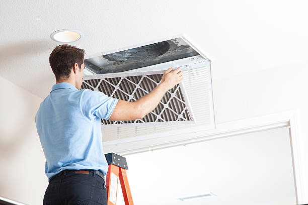 Best Air Conditioning Cleaning in Colmar Manor, MD